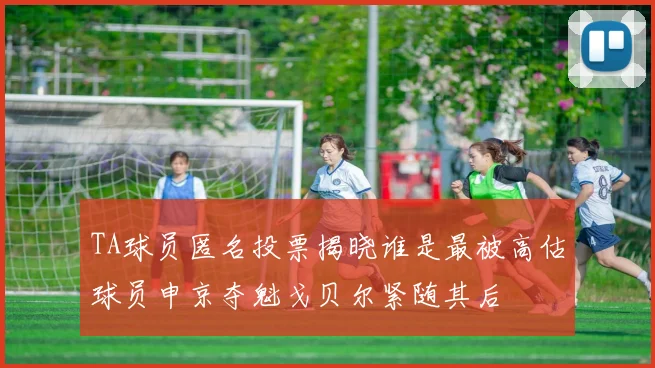 TA球员匿名投票揭晓谁是最被高估球员申京夺魁戈贝尔紧随其后