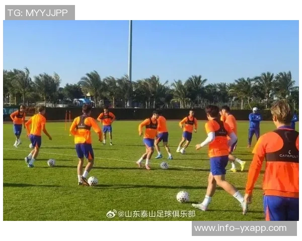 泰山队冬训阵容公布郑铮王大雷领衔依木兰积极参与训练